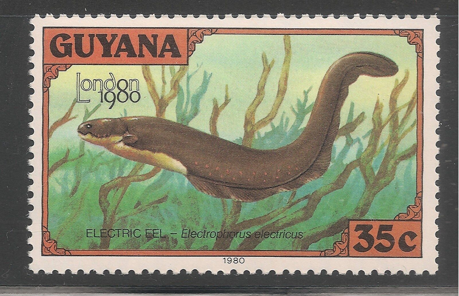 Guyana #317c (a73) Vf Mnh - 1980 35c Electric Eel / London 1980 Stamp Expo.