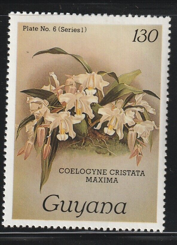 Guyana    1985   Sc # 1028   Orchids   Plate 6   Series 1   MNH