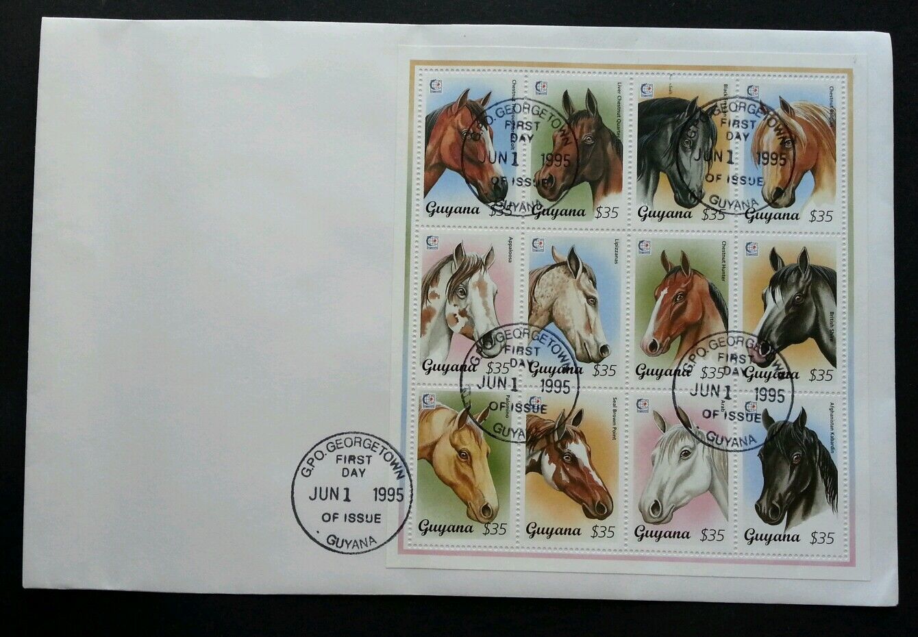 Guyana Horse 1995 Animal Pets (sheetlet Fdc) *rare *large Size