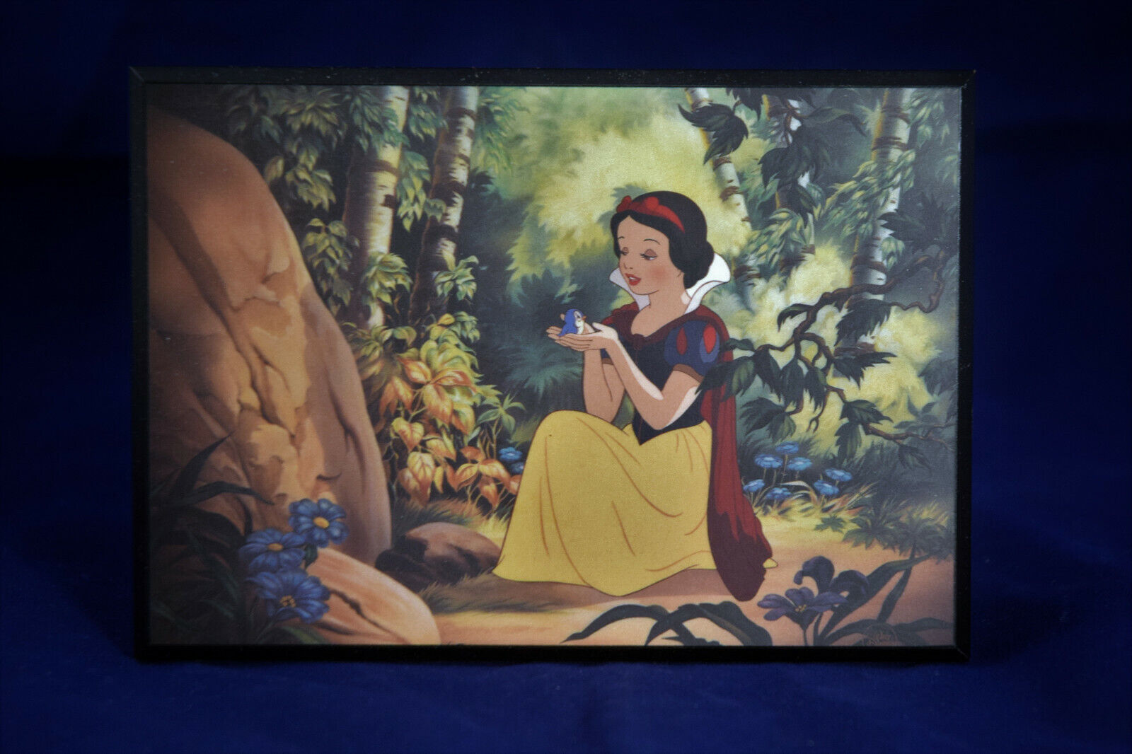 Disney's - Snow White “Little Lost Bird” Art Plaque  6