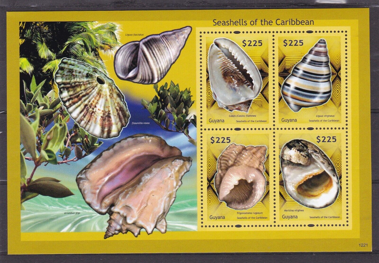 Guyana Mnh Sheet Seashells The Caribbean, Marine Life 2012